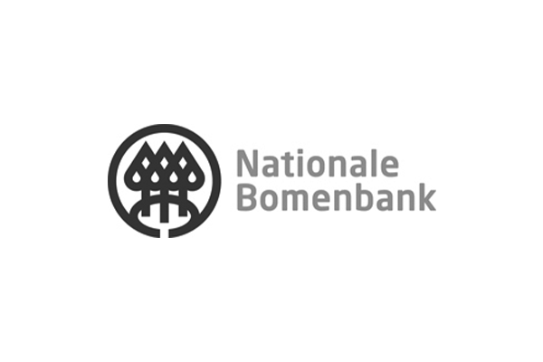 Nationale Bomenbank verplant in Veenendaal twee platanen